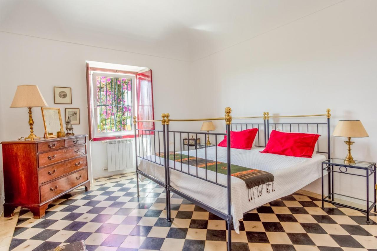 Monte Da Japonica Villa Redondo Eksteriør bilde